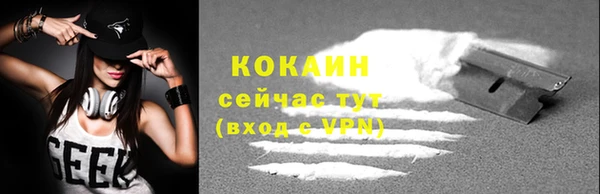 твердый Алексеевка