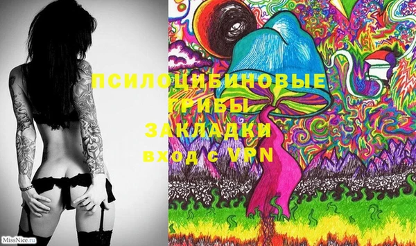 ECSTASY Алзамай