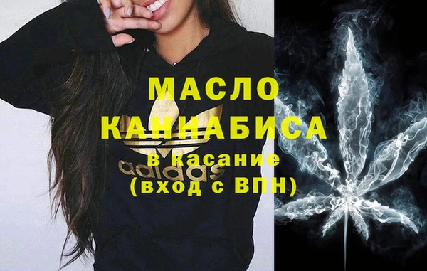 ECSTASY Алзамай