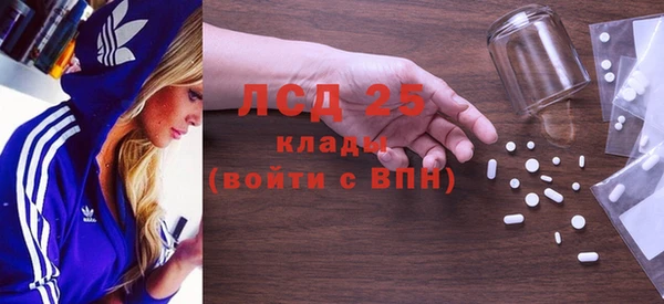 ECSTASY Алзамай