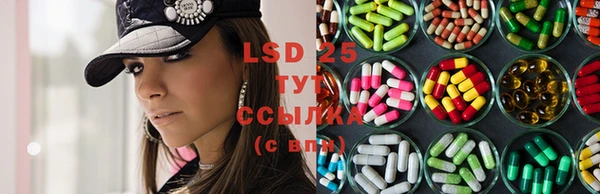 ECSTASY Алзамай
